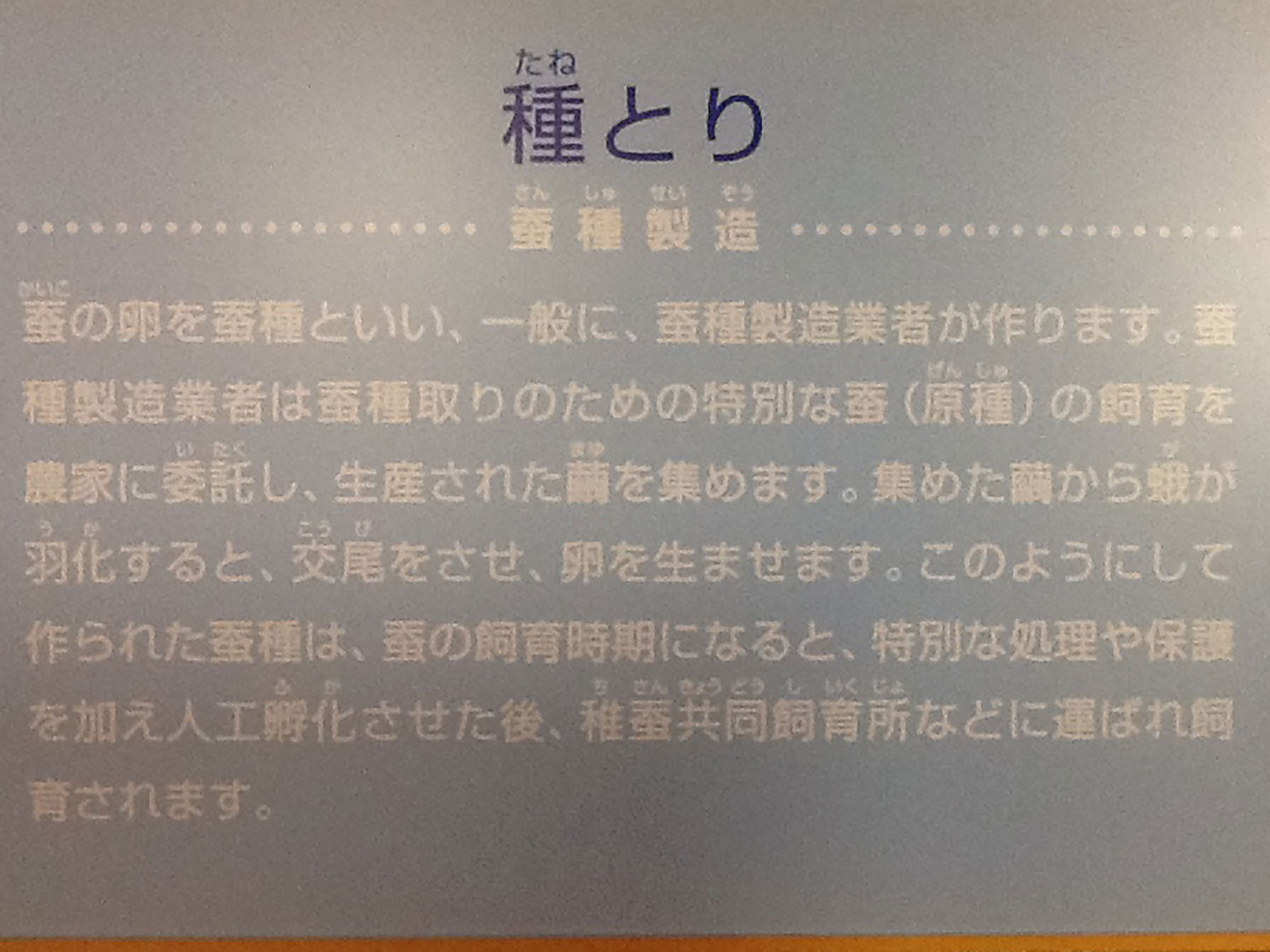 糸づくりの工程