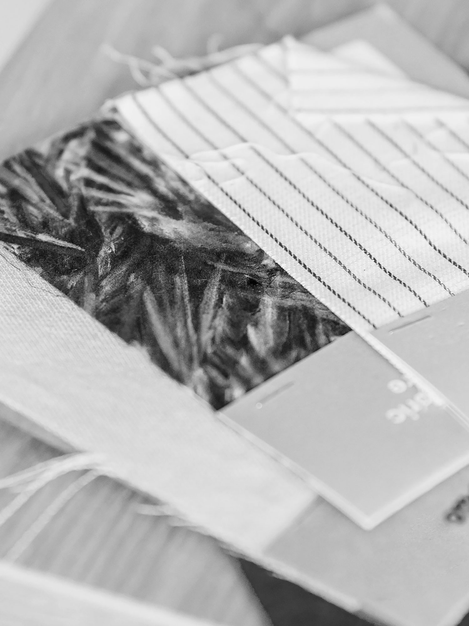 purchasing_edition_no3